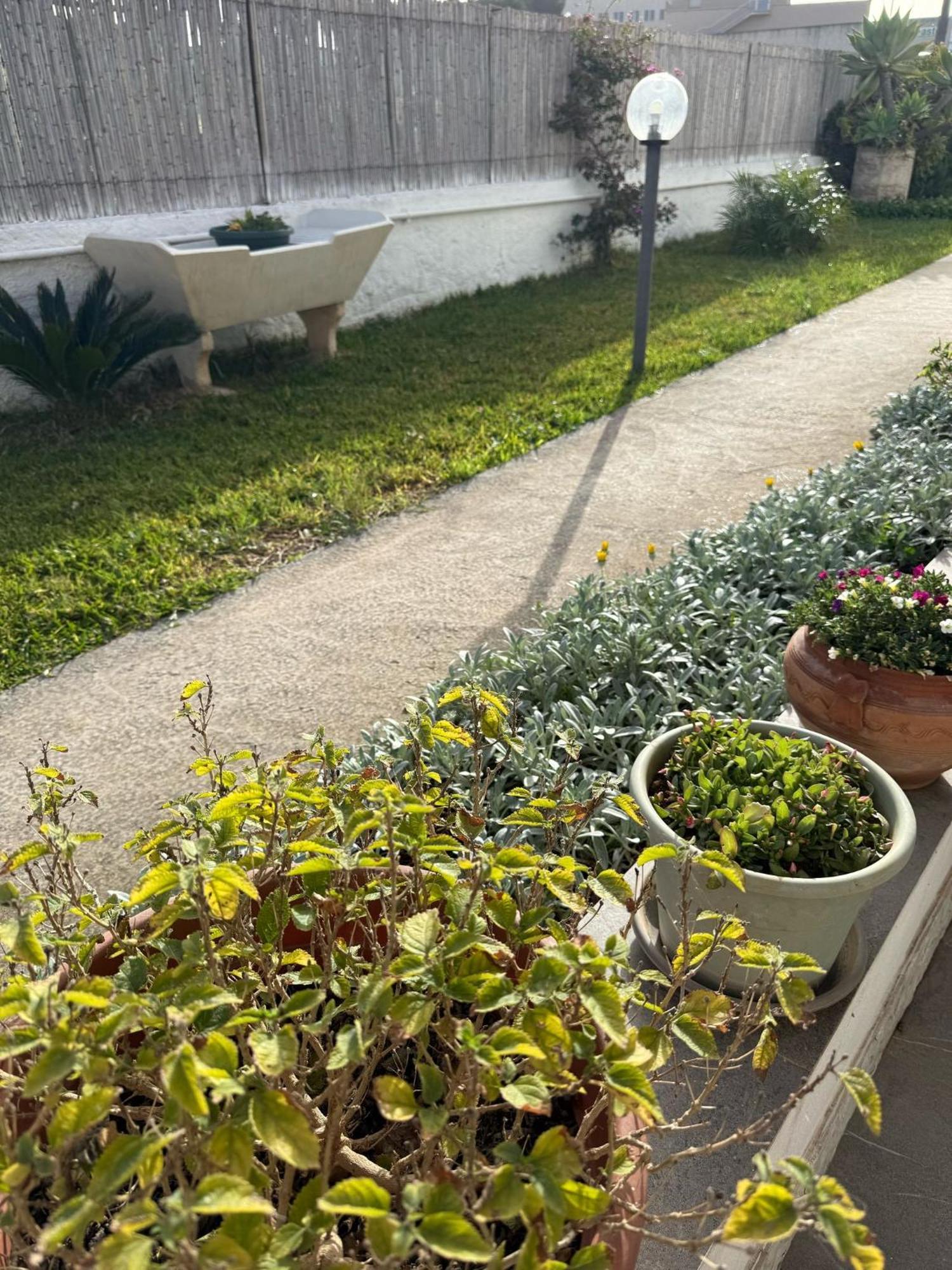 מרסאלה A Casa Di Coso B&B מראה חיצוני תמונה